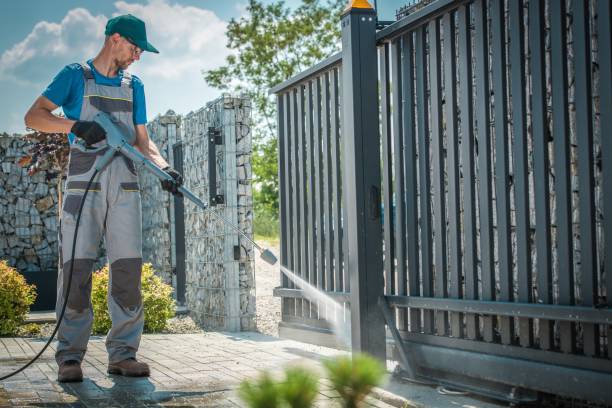 Best Graffiti Removal  in Pine Lakes, FL