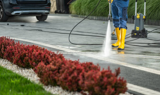 Best House Exterior Washing  in Pine Lakes, FL